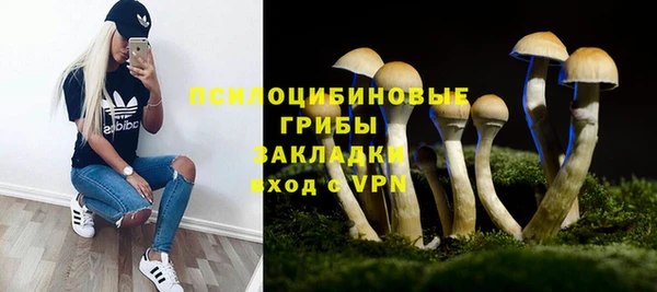 гашик Касимов