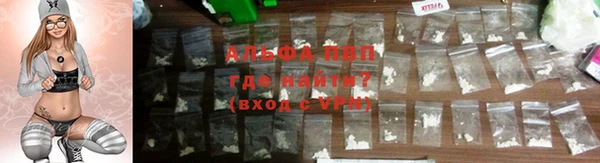гашик Касимов