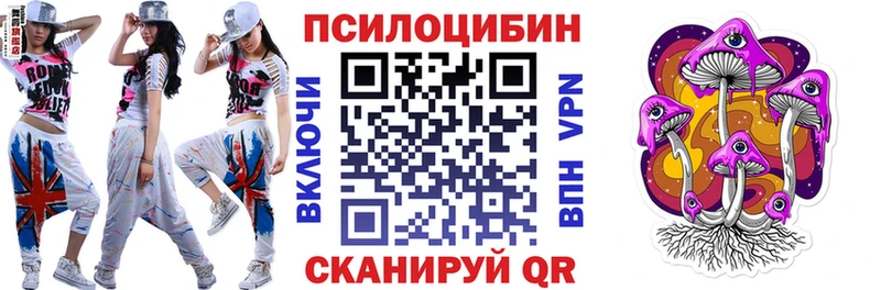 Купить  Сокол  Псилоцибиновые грибы ЛСД 