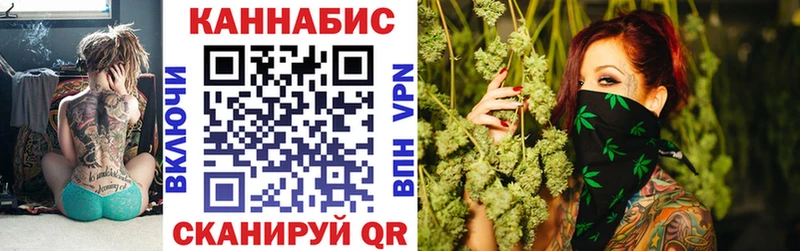 Каннабис сатива  Купить закладки  Сокол 